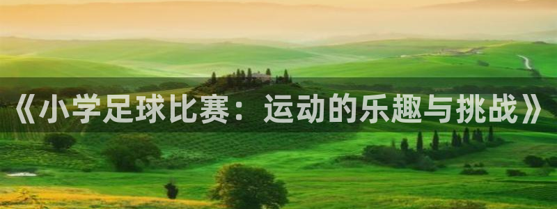 《小学足球比赛：运动的乐趣与挑战》