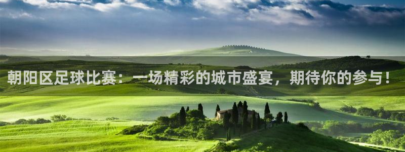 朝阳区足球比赛：一场精彩的城市盛宴，期待你的参与！