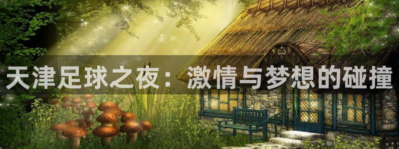 天津足球之夜：激情与梦想的碰撞