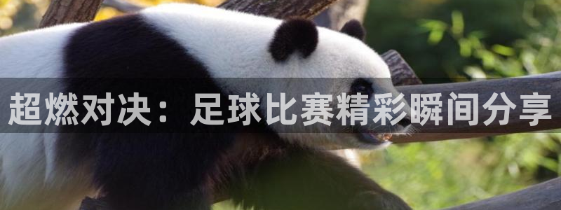  超燃对决：足球比赛精彩瞬间分享