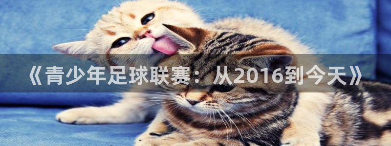 《青少年足球联赛：从2016到今天》