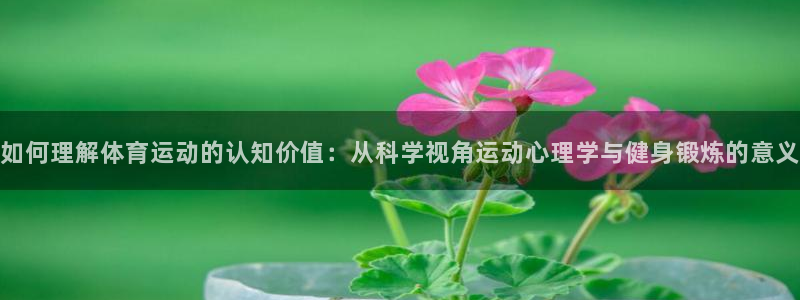 xc体育app官方网站