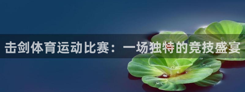 xc体育