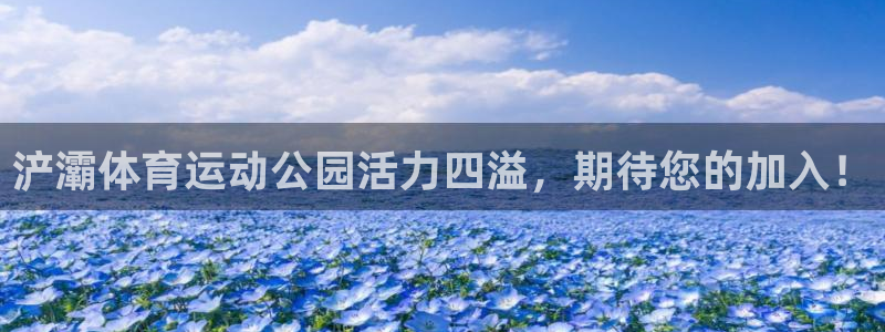 xc体育app官方网站