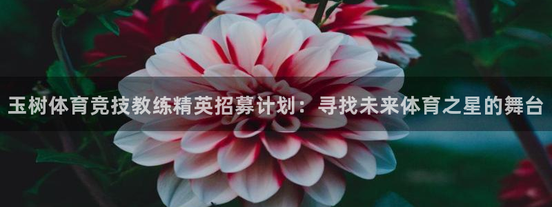 xc体育