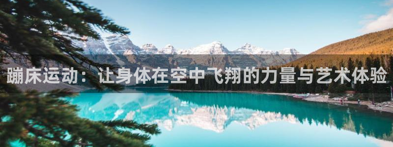 xc体育app官方网站：蹦床运动：让身体在空中飞翔的力量与艺术体验