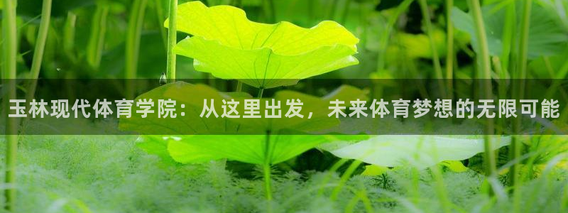 xc体育app官方网站：玉林现代体育学院：从这里出发，未来体育梦想的无限可能