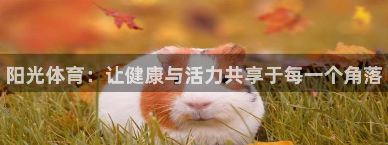 xc体育：阳光体育：让健康与活力共享于每一个角落