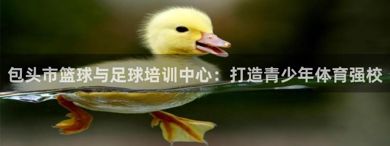 xc体育app官方网站：包头市篮球与足球培训中心：打造青少年体育强校
