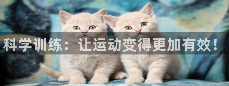 xc体育app官方网站