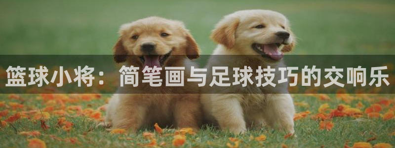 xc体育app官方网站