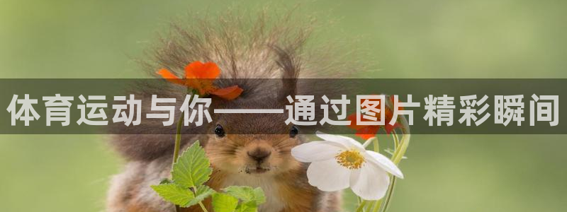 xc体育app官方网站：体育运动与你——通过图片精彩瞬间