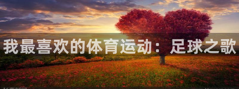xc体育：我最喜欢的体育运动：足球之歌