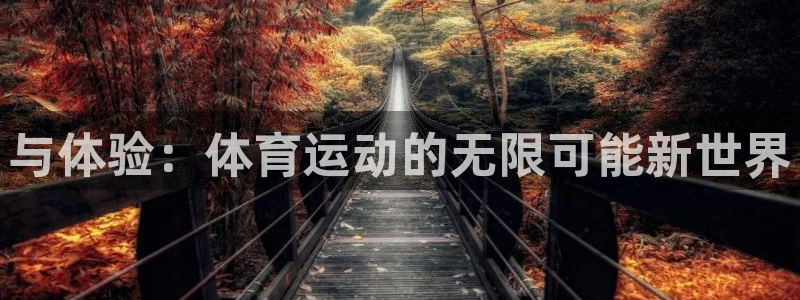 xc体育：与体验：体育运动的无限可能新世界