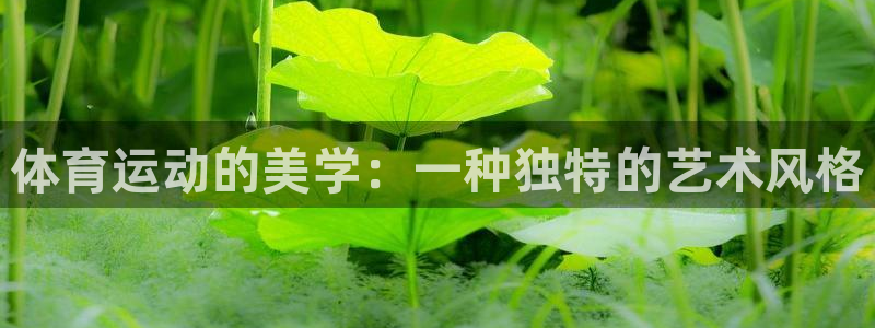 xc体育：体育运动的美学：一种独特的艺术风格