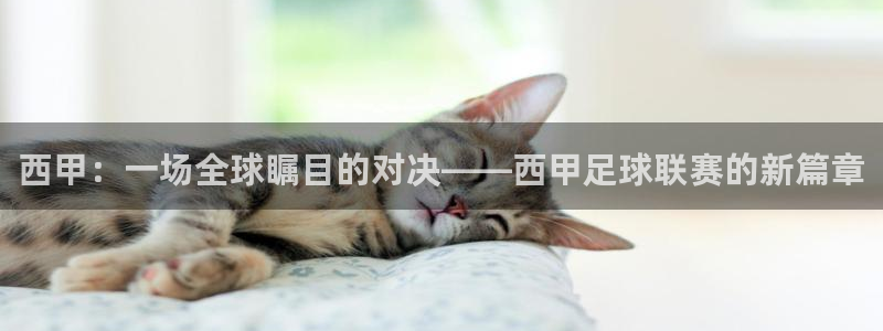 西甲：一场全球瞩目的对决——西甲足球