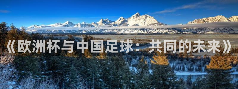 《欧洲杯与中国足球：共同的未来》