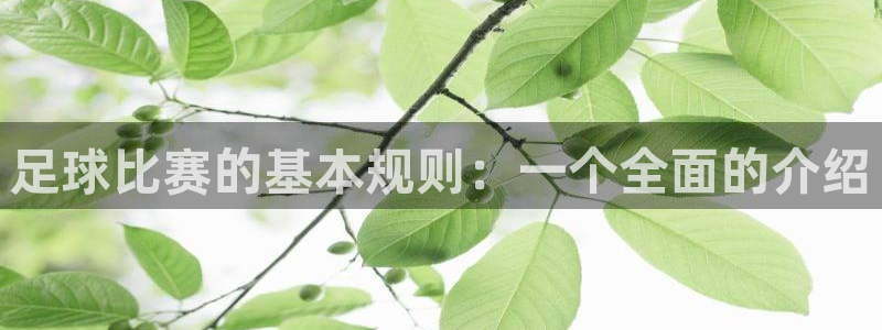 足球比赛的基本规则：一个全面的介绍