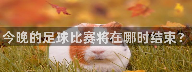 今晚的足球比赛将在哪时结束？