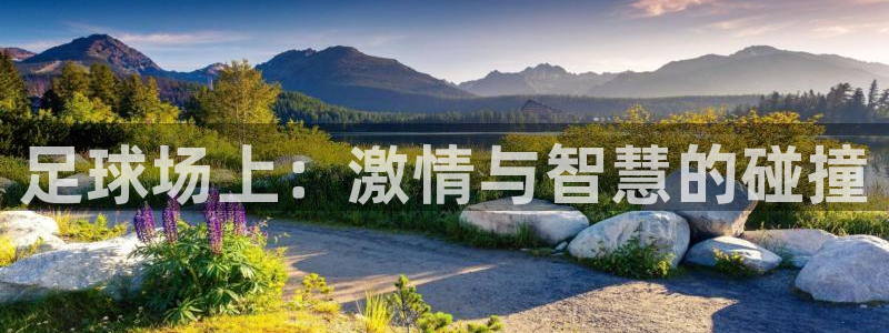 足球场上：激情与智慧的碰撞