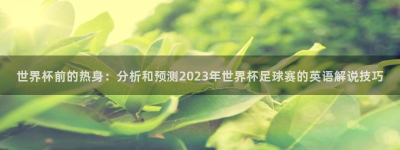 世界杯前的热身：分析和预测2023年