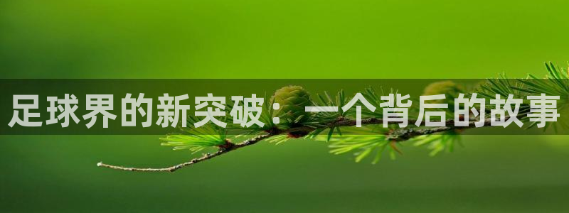 足球界的新突破：一个背后的故事