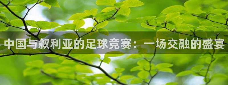 中国与叙利亚的足球竞赛：一场交融的盛