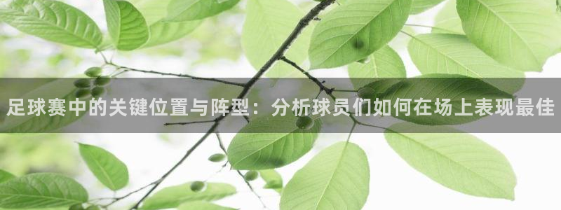 足球赛中的关键位置与阵型：分析球员们