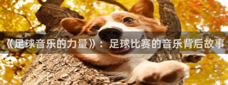 《足球音乐的力量》：足球比赛的音乐背后故事