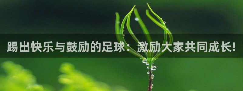 踢出快乐与鼓励的足球：激励大家共同成