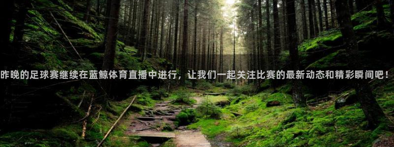昨晚的足球赛继续在蓝鲸体育直播中进行