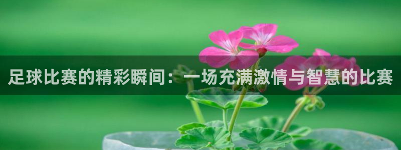 足球比赛的精彩瞬间：一场充满激情与智
