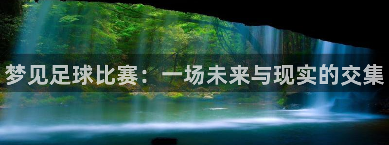 梦见足球比赛：一场未来与现实的交集