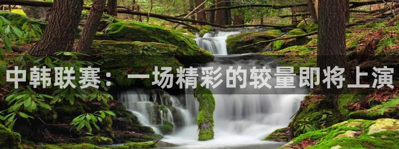 中韩联赛：一场精彩的较量即将上演