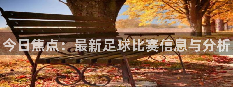  今日焦点：最新足球比赛信息与分析